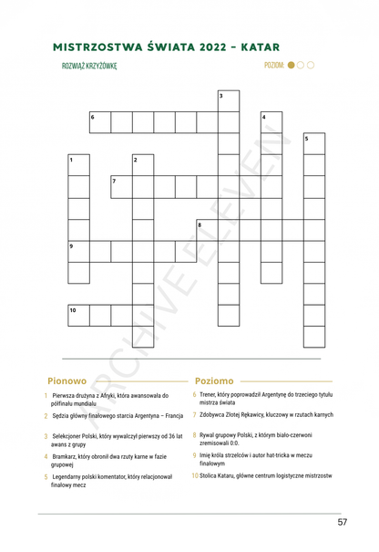 Mistrz Futbolu – Księga Quizów i Łamigłówek (Wersja Cyfrowa PDF)